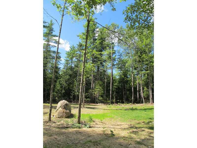 562 Bog Road Hermon, ME 04401 - Photo 22 of 25 Yard/Garden.
