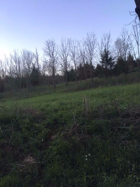 2 Long Lick Road Stamping Ground, KY 40379 - Photo 5 of 7 Photo 5