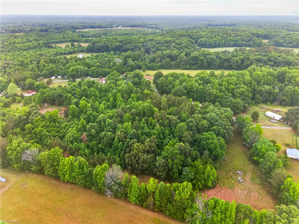 7436 Chaseford Road Liberty, NC 27298 - Photo 5 of 14
