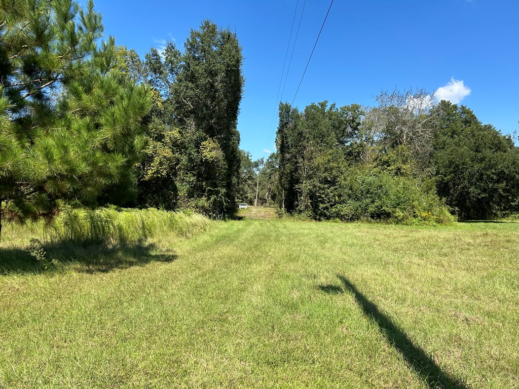 1.9-ac Barnes Road Gordon, AL 36343 - Photo 14 of 28