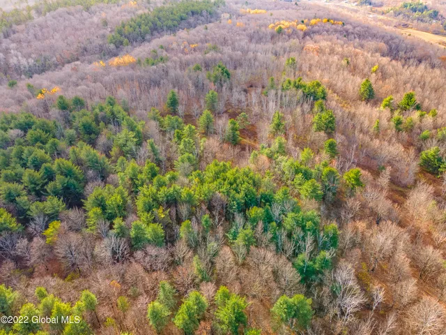 $145,000 | L13 West Woodstock Road, East Berne, NY 12059