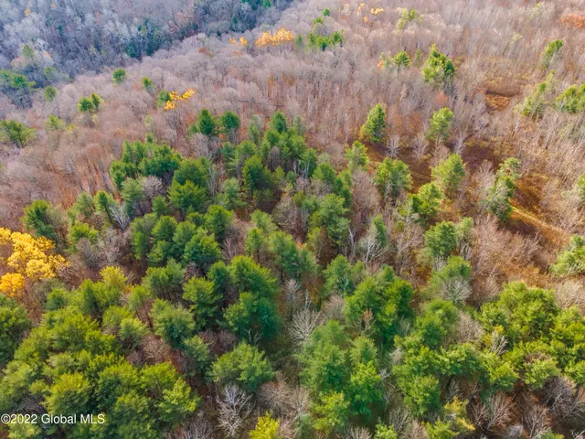 $145,000 | L13 West Woodstock Road, East Berne, NY 12059