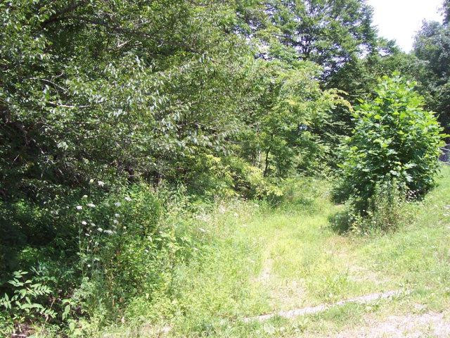 0 Fox Hollow Road Booneville, KY 41314 - Photo 1 of 20 Photo 1