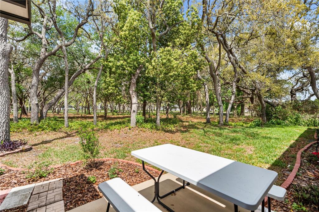 409 Candlestone Court Spring Hill, FL 34609 - Photo 25 of 38