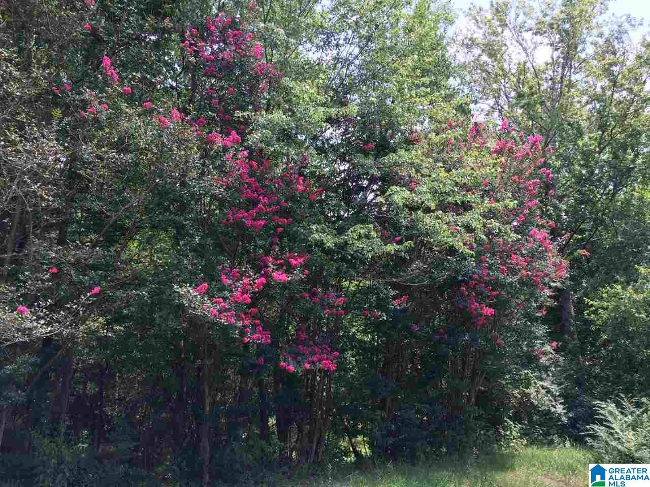 720 Mountain Ridge Road Oneonta, AL 35121 - Photo 11 of 47