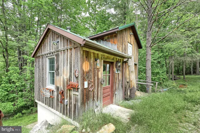 a backyard of a house with plants and large tree