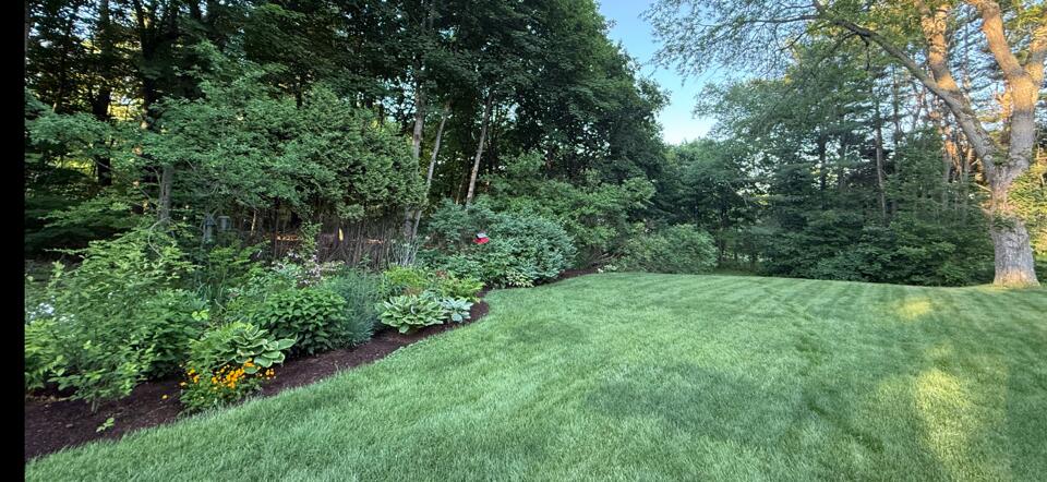 281 Clyde Road Bangor, ME 04401 - Photo 101 of 108 IMG_9191
