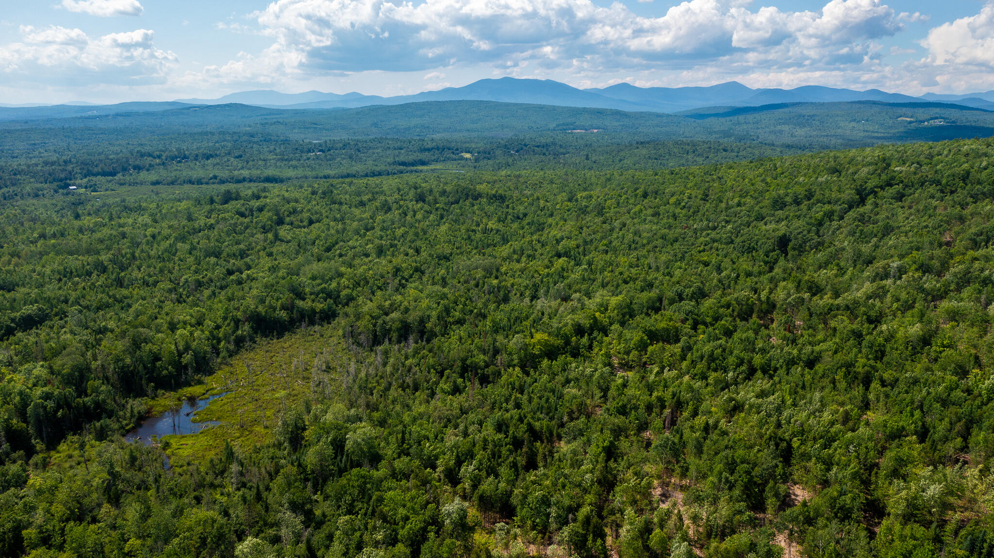 0 Miller Road New Vineyard, ME 04956 - Photo 12 of 48 MNewportland-6