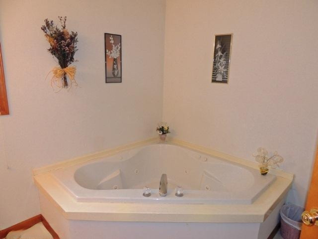 51731 Leach Road Dowagiac, MI 49047 - Photo 13 of 22 Additional Photo