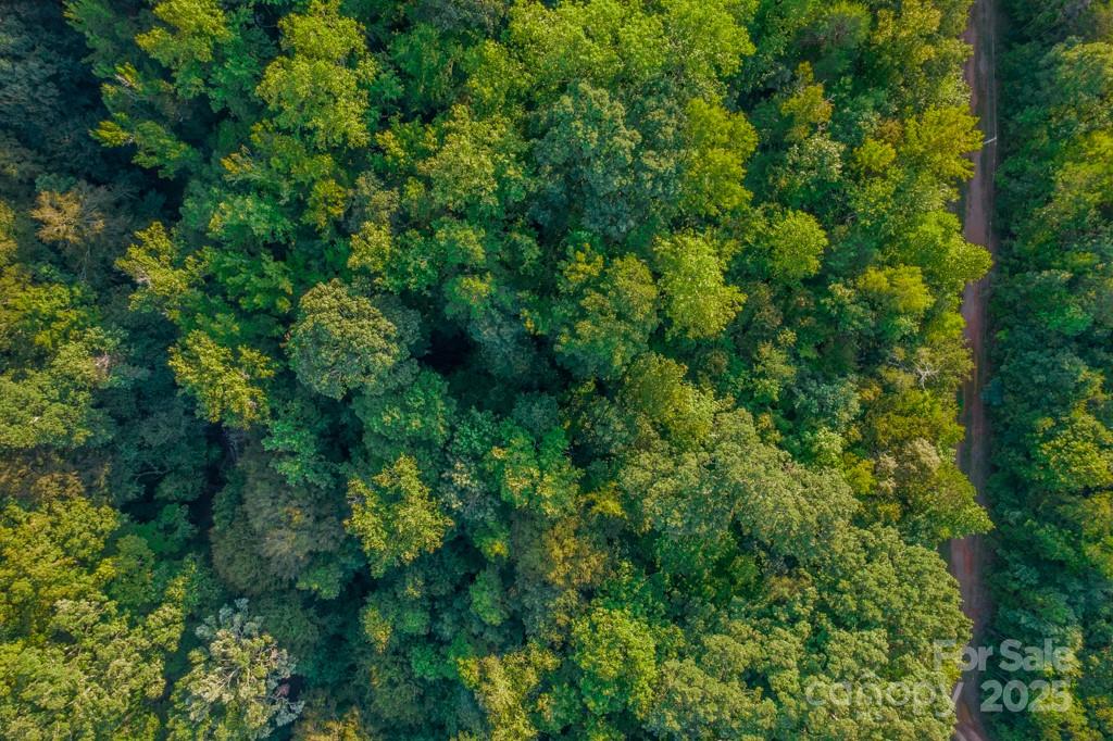 0 Little River Road Indian Land, SC 29707 - Photo 16 of 19