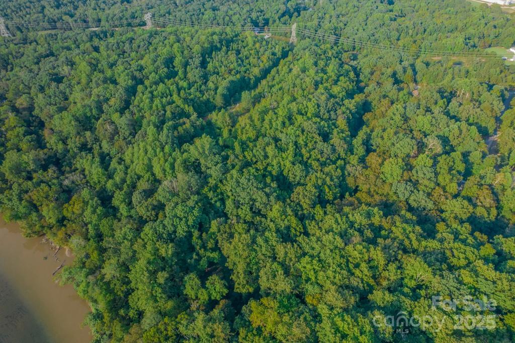 0 Little River Road Indian Land, SC 29707 - Photo 4 of 19