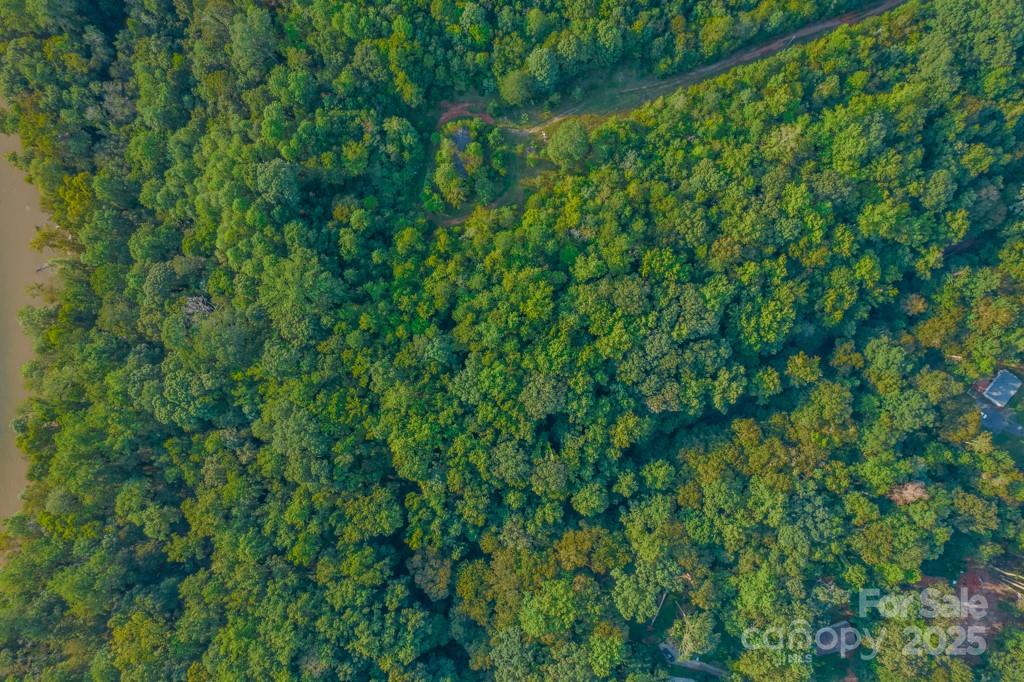0 Little River Road Indian Land, SC 29707 - Photo 9 of 19