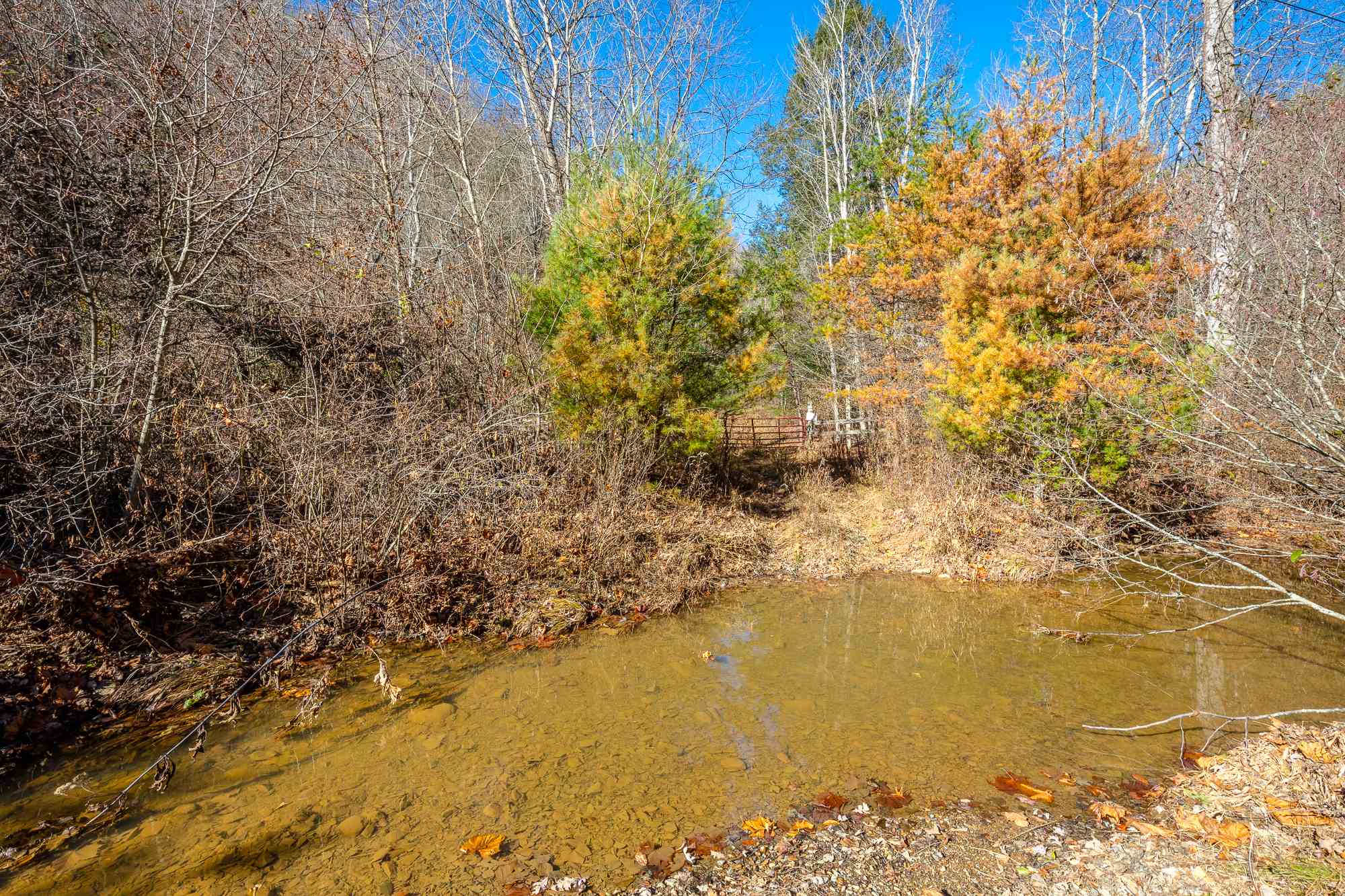 Tbd Mudlick Road Wytheville, VA 24382 - Photo 1 of 44 Gallery Image 1
