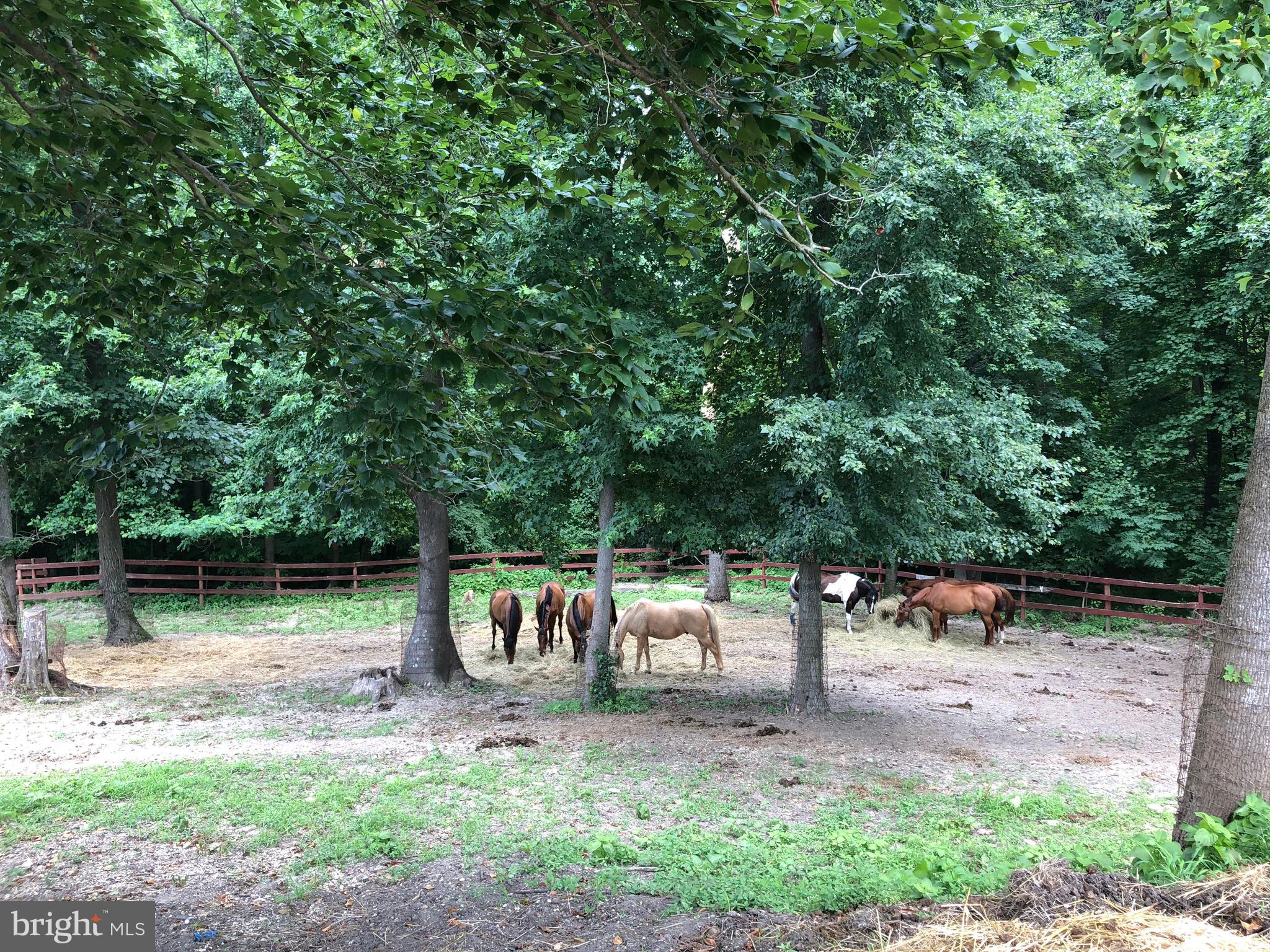 12301 Cross Rd Trail Brandywine, MD 20613 - Photo 34 of 46 Gallery Image 34