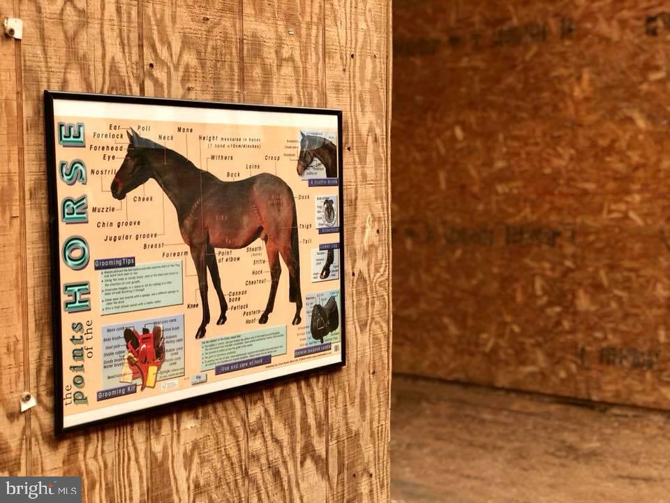 12301 Cross Rd Trail Brandywine, MD 20613 - Photo 43 of 46 Gallery Image 43