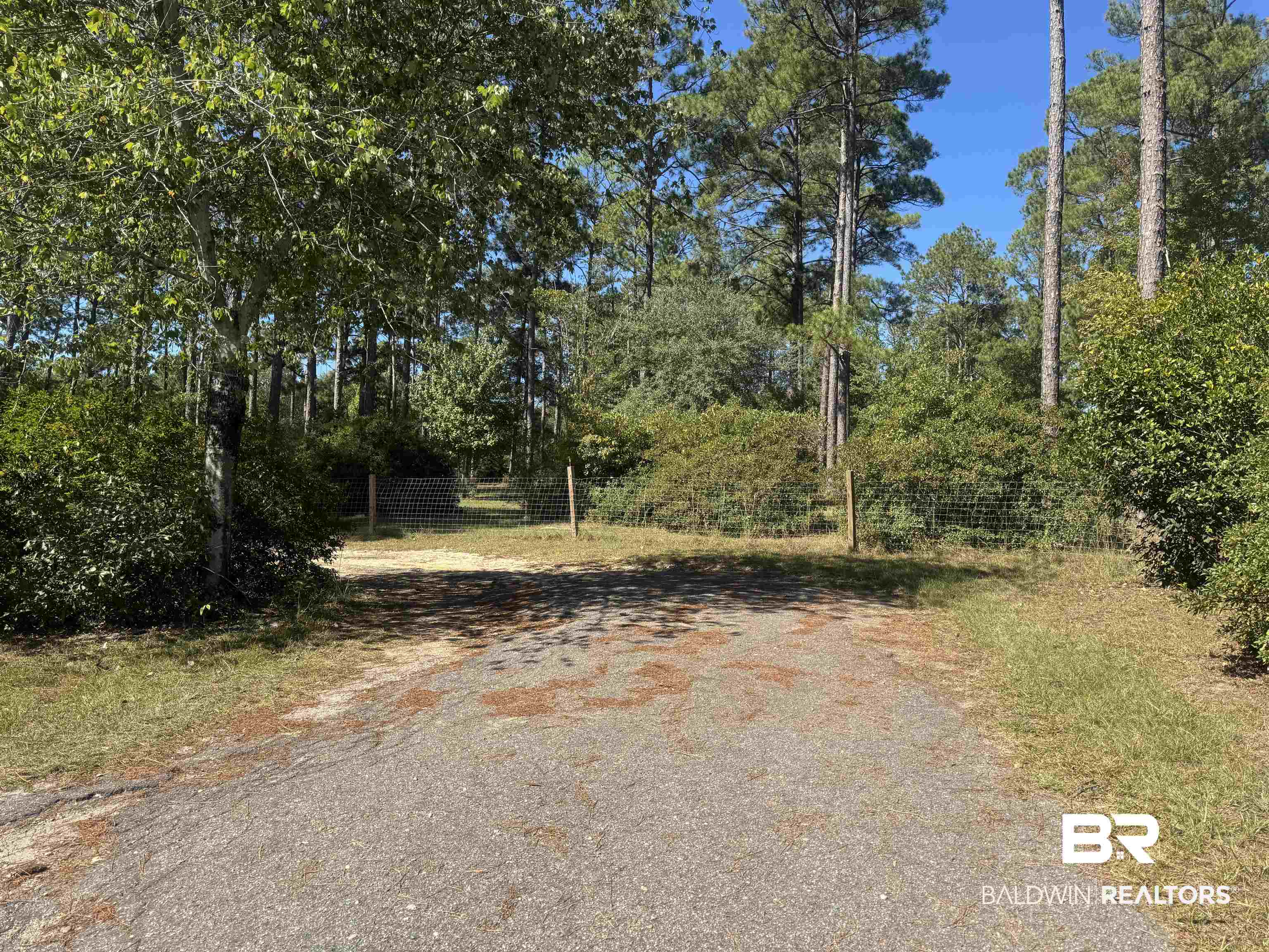 3097 Old Castleberry Road Brewton, AL 36426 - Photo 24 of 49 Private driveway