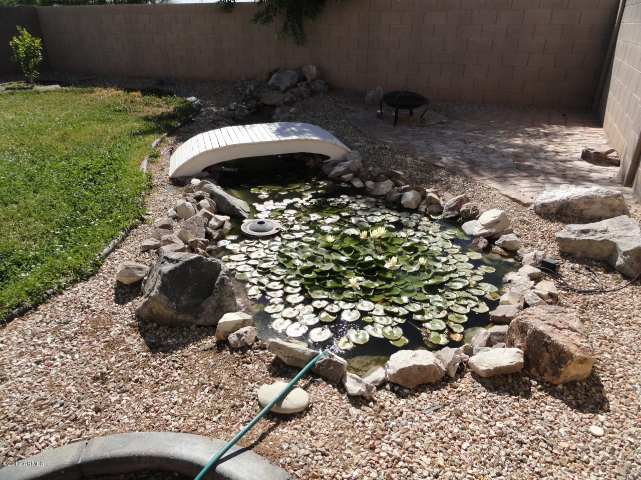 19232 North Braden Road Maricopa, AZ 85138 - Photo 19 of 22 Back Yard 4