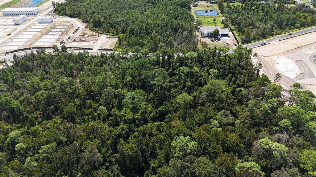 Forehand Road Davenport, FL 33896 - Photo 8 of 18 Gallery Image 8
