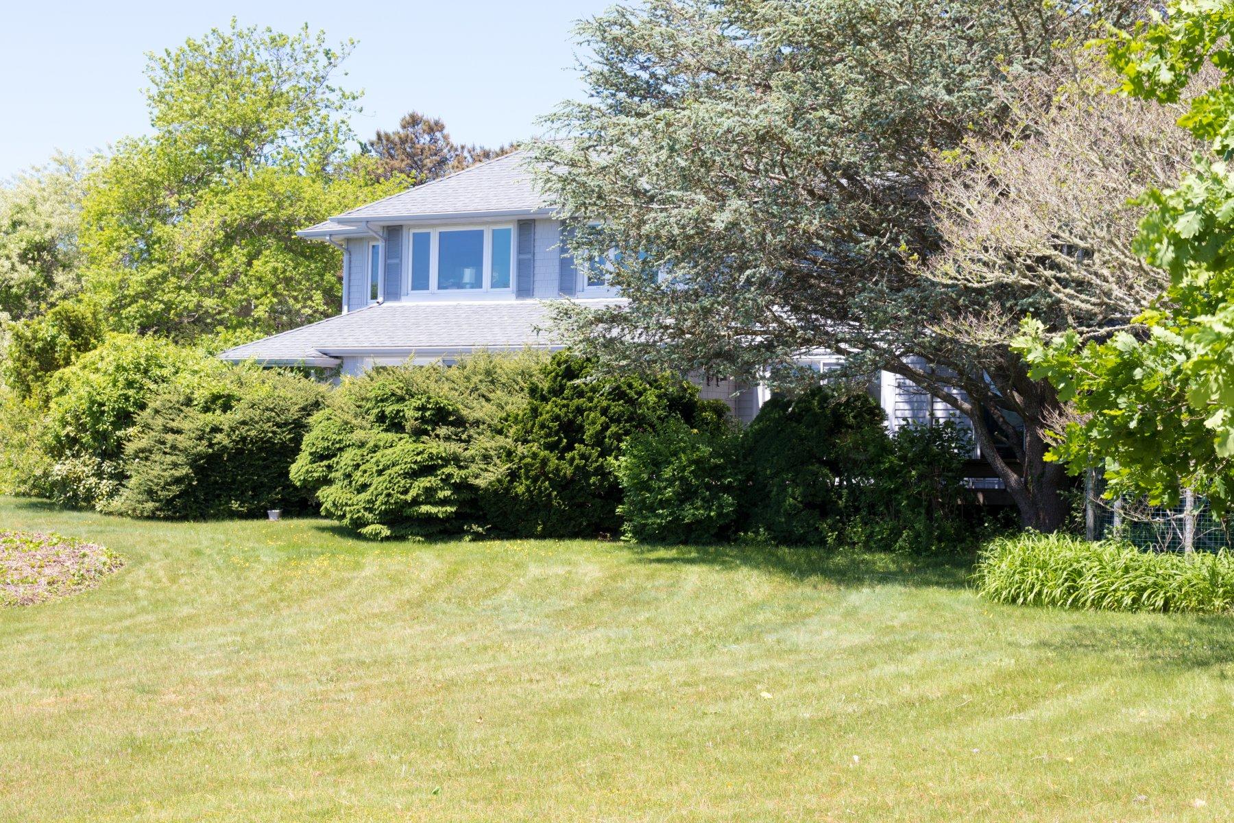 374 Tonset Road Orleans, MA 02653 - Photo 8 of 35 IMG_0058