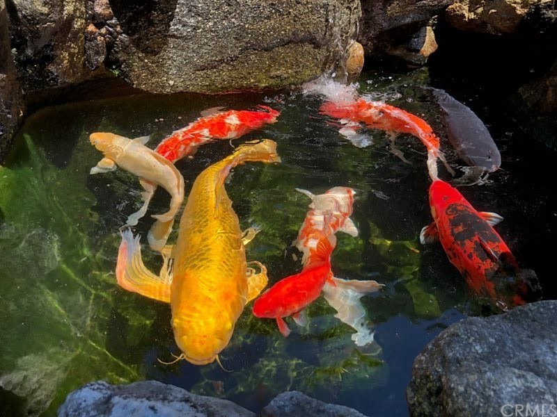 1306 Pepper Way Arcadia, CA 91006 - Photo 45 of 49