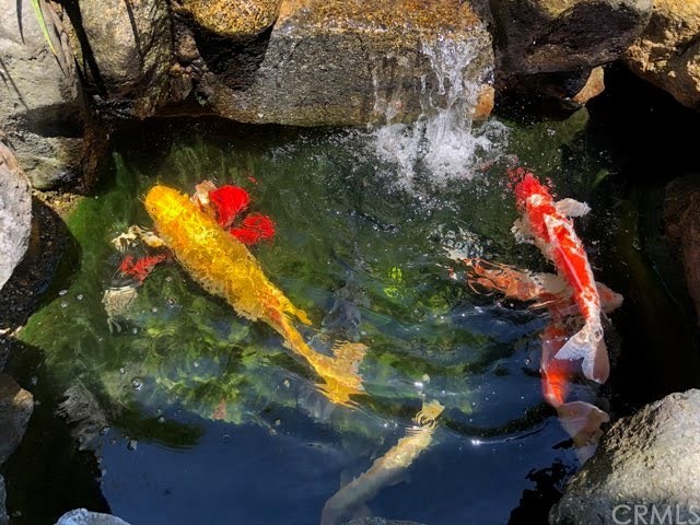 1306 Pepper Way Arcadia, CA 91006 - Photo 46 of 49