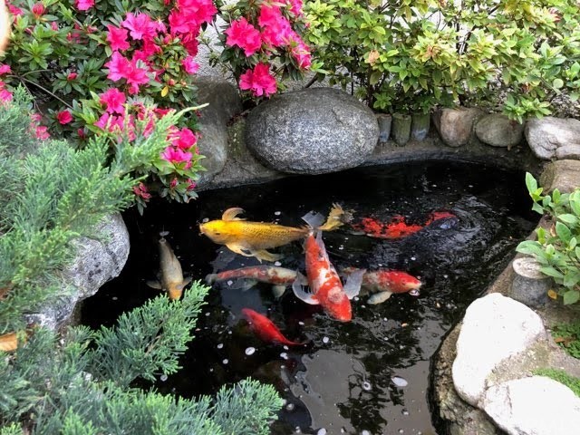 1306 Pepper Way Arcadia, CA 91006 - Photo 49 of 49