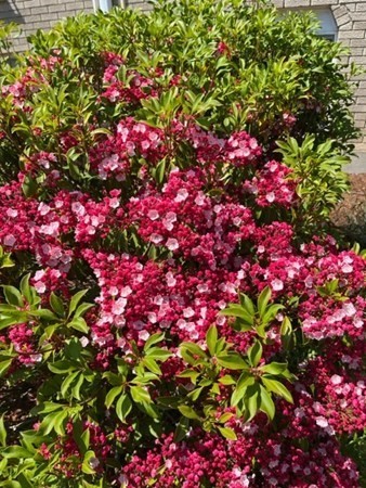 202 Swanson Road, Unit 521 Boxborough, MA 01719 - Photo 3 of 16