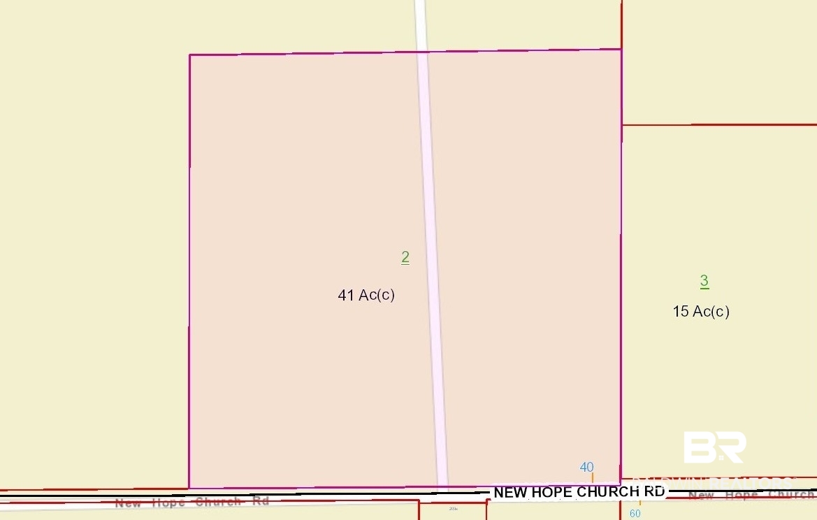 41 New Hope Church Road Robertsdale, AL 36567 - Photo 2 of 5