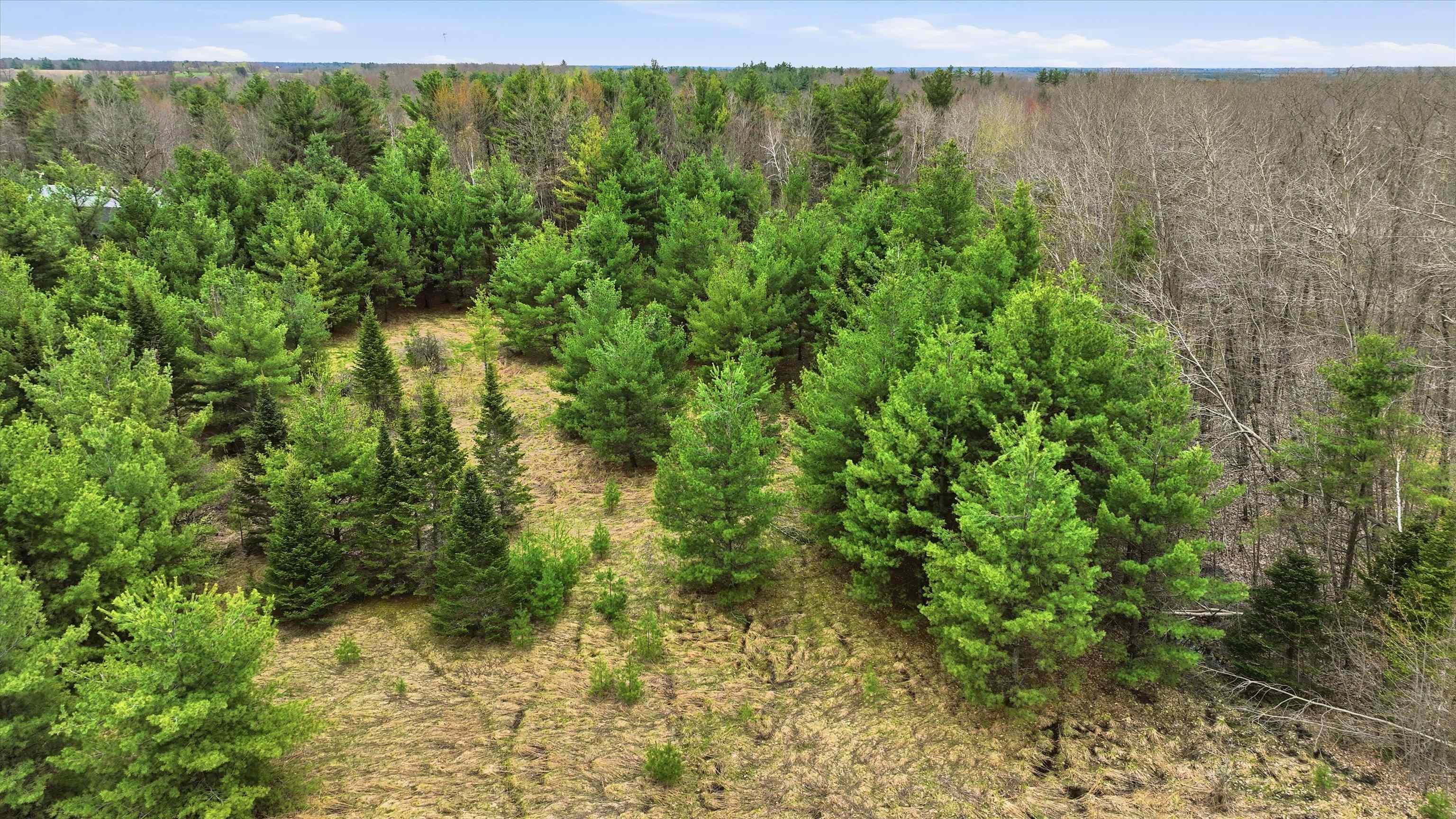 Lot 1 County Rd DB Mosinee, WI 54455 - Photo 6 of 7