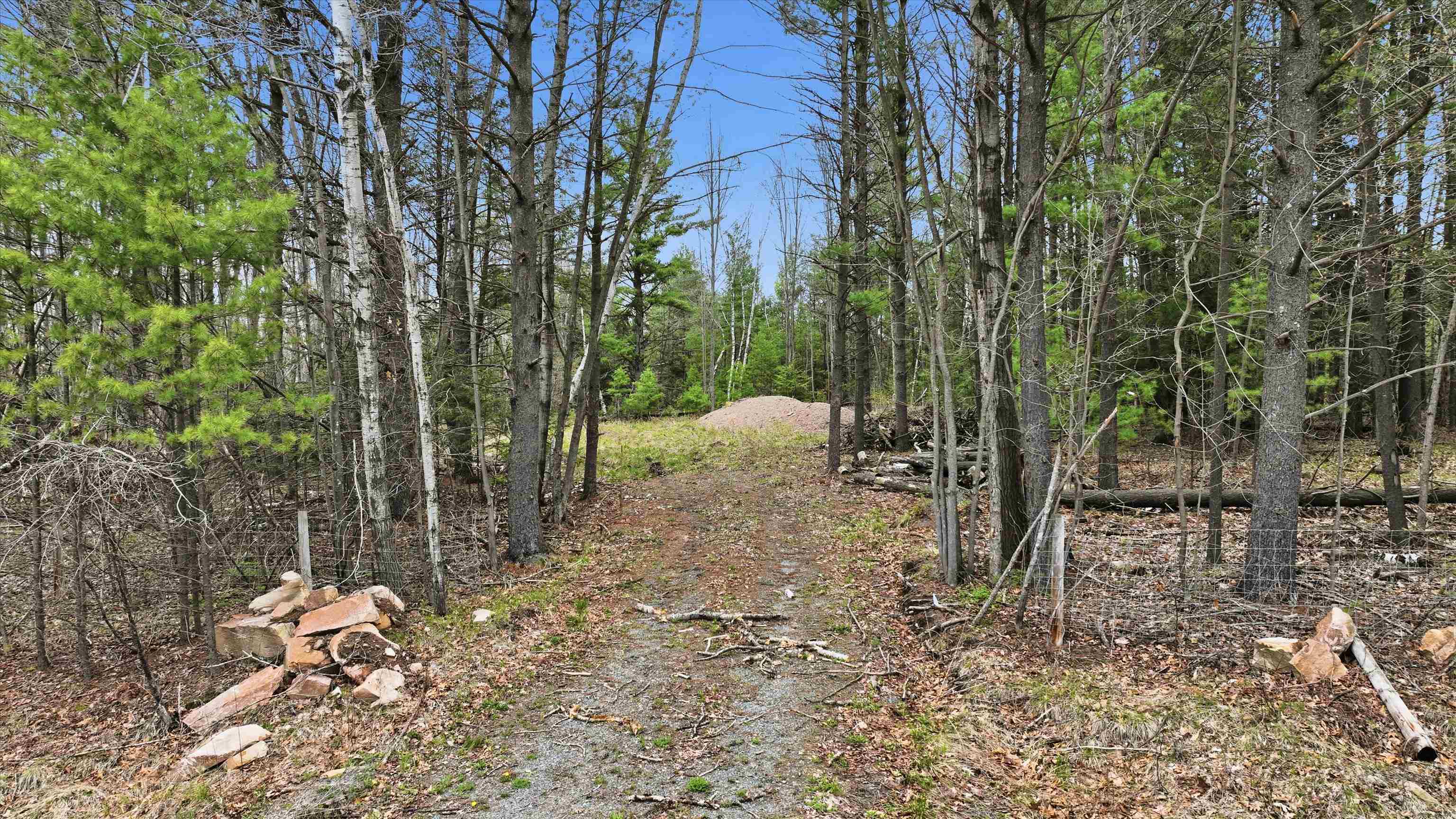Lot 1 County Rd DB Mosinee, WI 54455 - Photo 7 of 7
