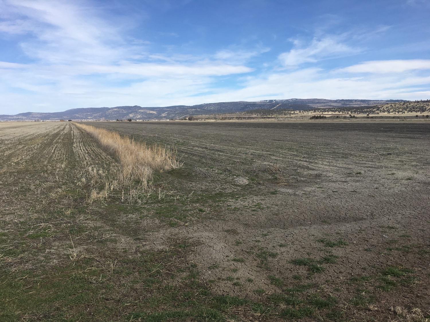 102 County Rd 102 Tulelake, CA 96134 - Photo 5 of 7 Additional Photo