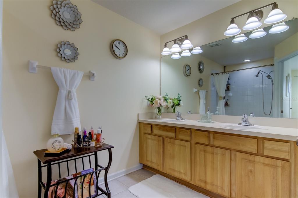 26642 Castleview Way Wesley Chapel, FL 33544 - Photo 34 of 50 a bathroom with a sink and a mirror