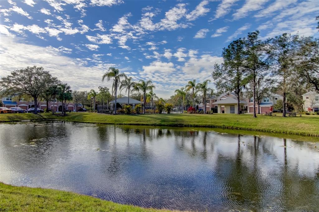 26642 Castleview Way Wesley Chapel, FL 33544 - Photo 45 of 50 a view of a lake with houses