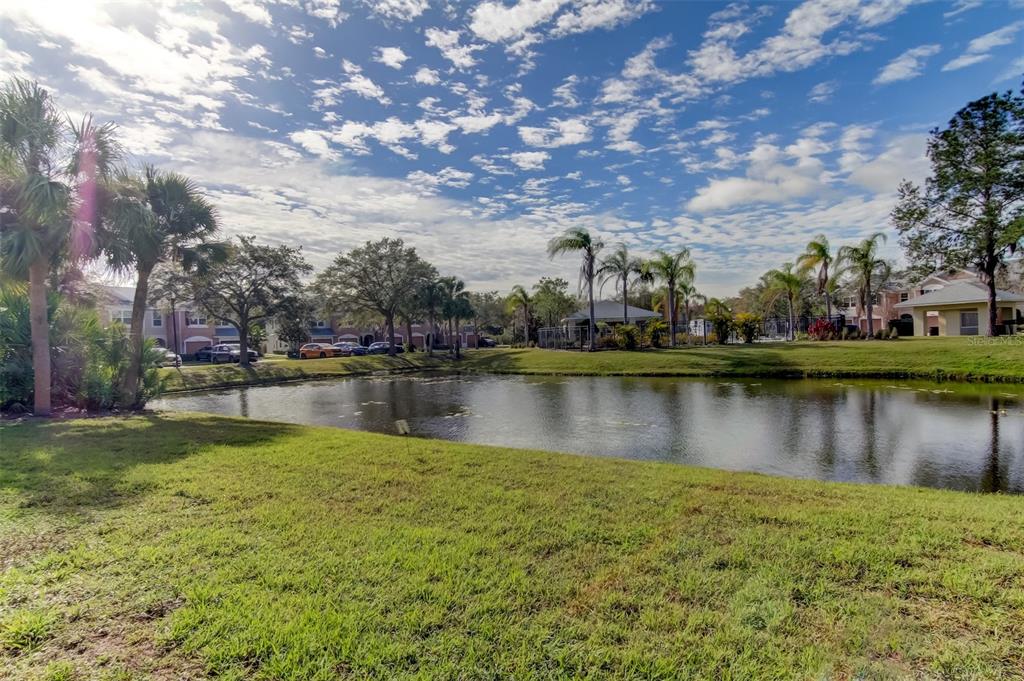 26642 Castleview Way Wesley Chapel, FL 33544 - Photo 47 of 50 a view of a lake with houses