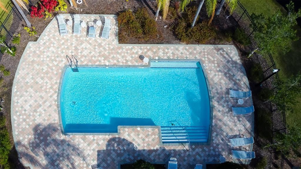 26642 Castleview Way Wesley Chapel, FL 33544 - Photo 50 of 50 a view of outside area