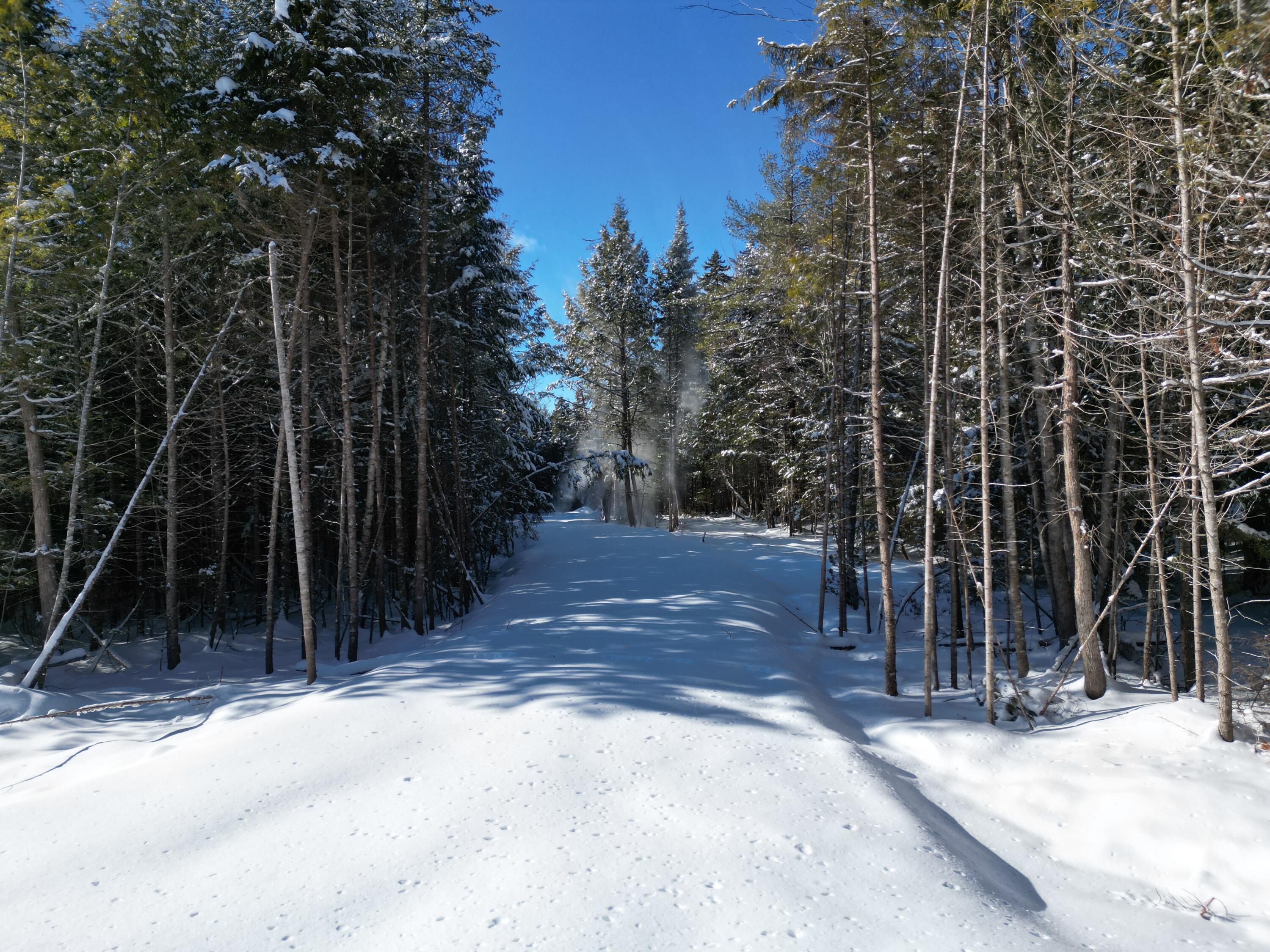 21 Kingfisher Cove Road Lincoln, ME 04457 - Photo 4 of 20 DJI_0970