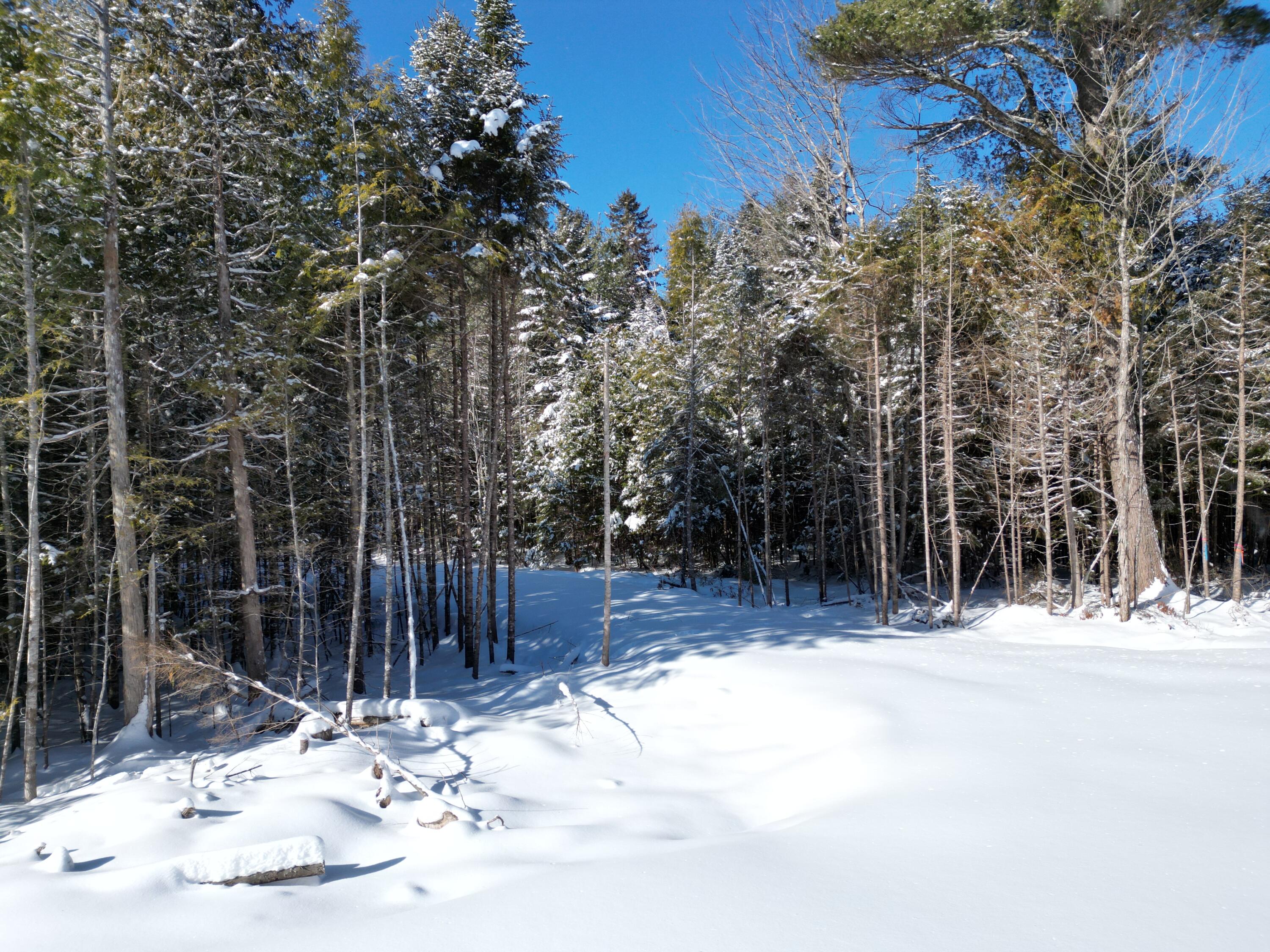 21 Kingfisher Cove Road Lincoln, ME 04457 - Photo 5 of 20 DJI_0971