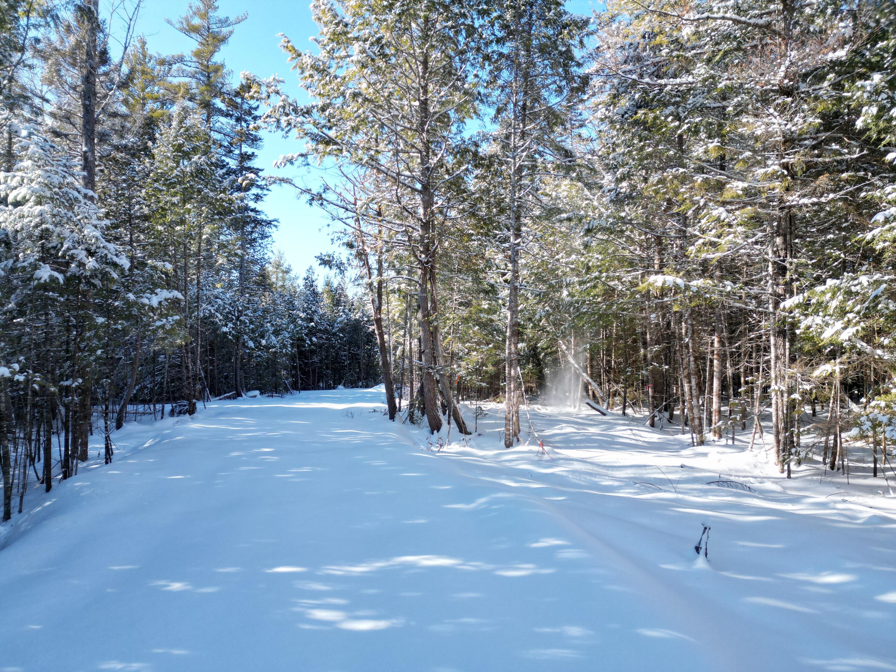 21 Kingfisher Cove Road Lincoln, ME 04457 - Photo 8 of 20 DJI_0974