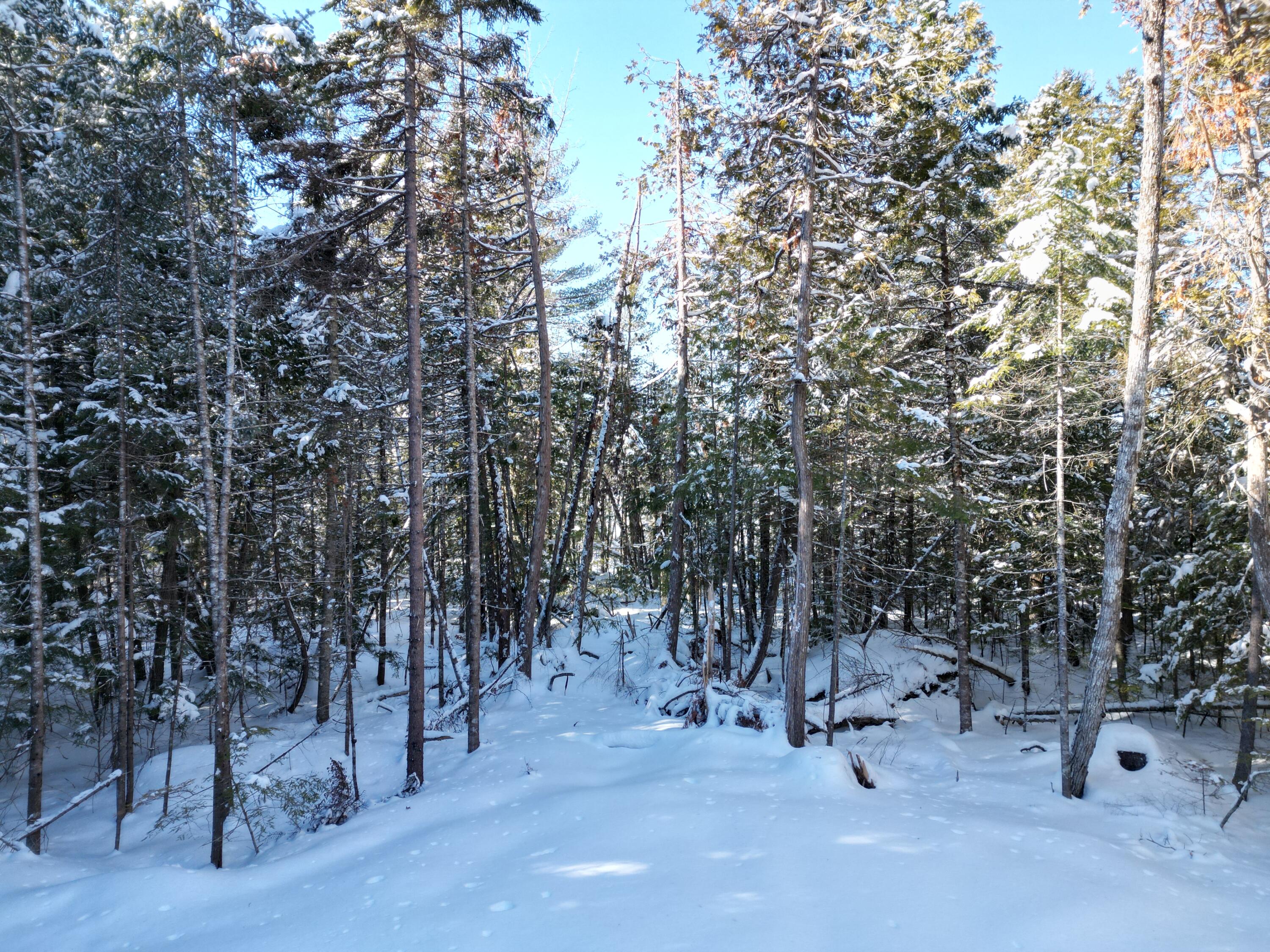 21 Kingfisher Cove Road Lincoln, ME 04457 - Photo 10 of 20 DJI_0976