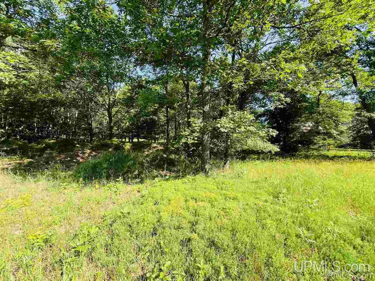 Tbd Tipperary Road, Unit 2 Gladstone, MI 49837 - Photo 5 of 5 Gallery Image 5