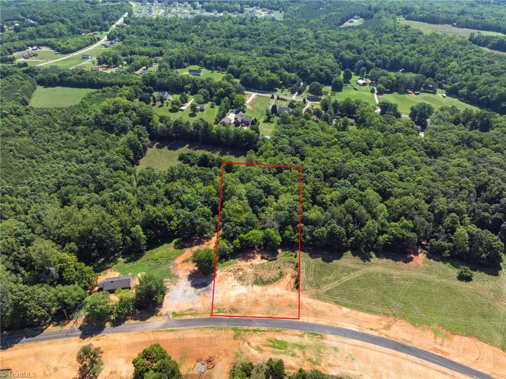 7289 Plunkett Road Stokesdale, NC 27357 - Photo 8 of 27