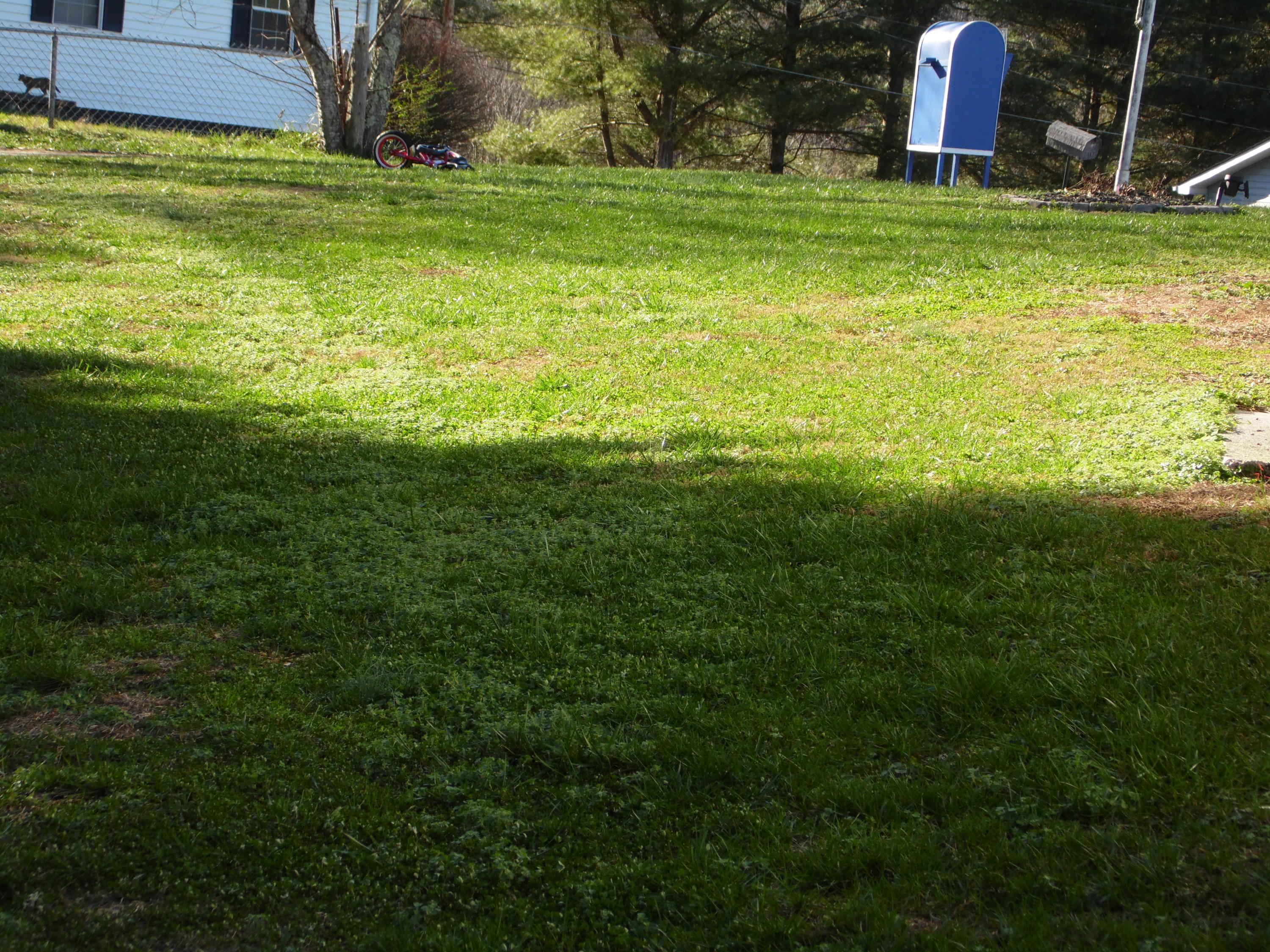 181 Rising Lane La Follette, TN 37766 - Photo 22 of 28 yard