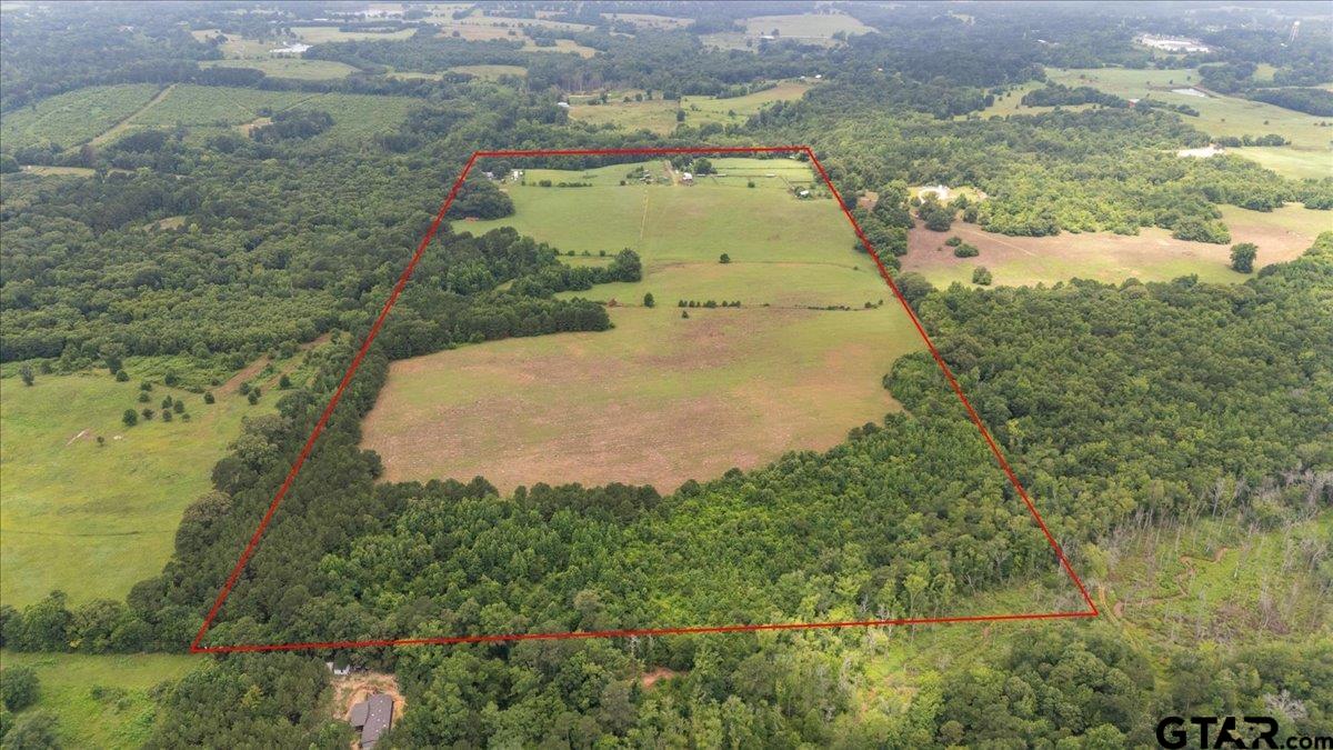 3989 Bob O Link Road Gilmer, TX 75645 - Photo 27 of 35
