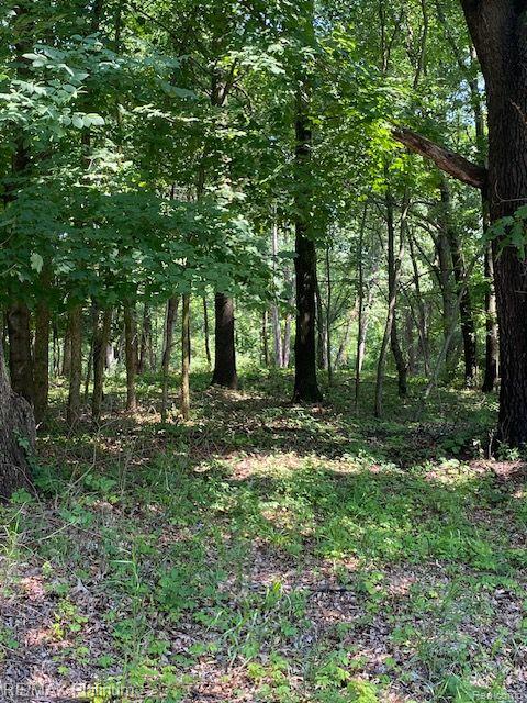 7 Sleaford-parcel 7 - 2 Acres Road Howell, MI 48843 - Photo 44 of 45