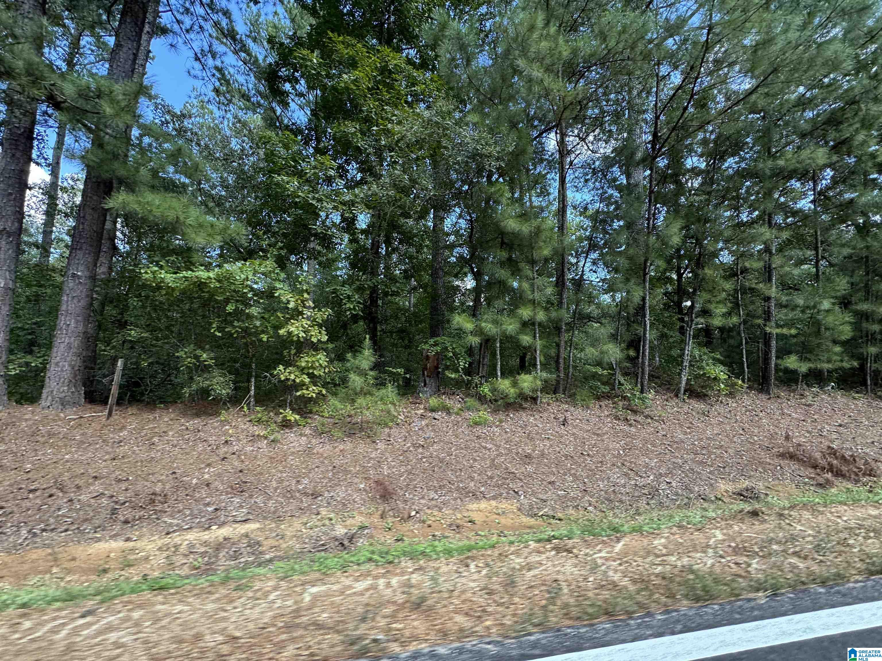 20394 County Road 55 Sterrett, AL 35147 - Photo 5 of 43