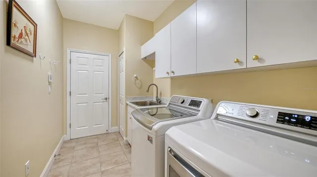 a garden with plants and trees