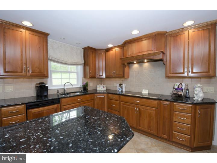 20 Roberts Road Newtown Square, PA 19073 - Photo 7 of 25 Kitchen
