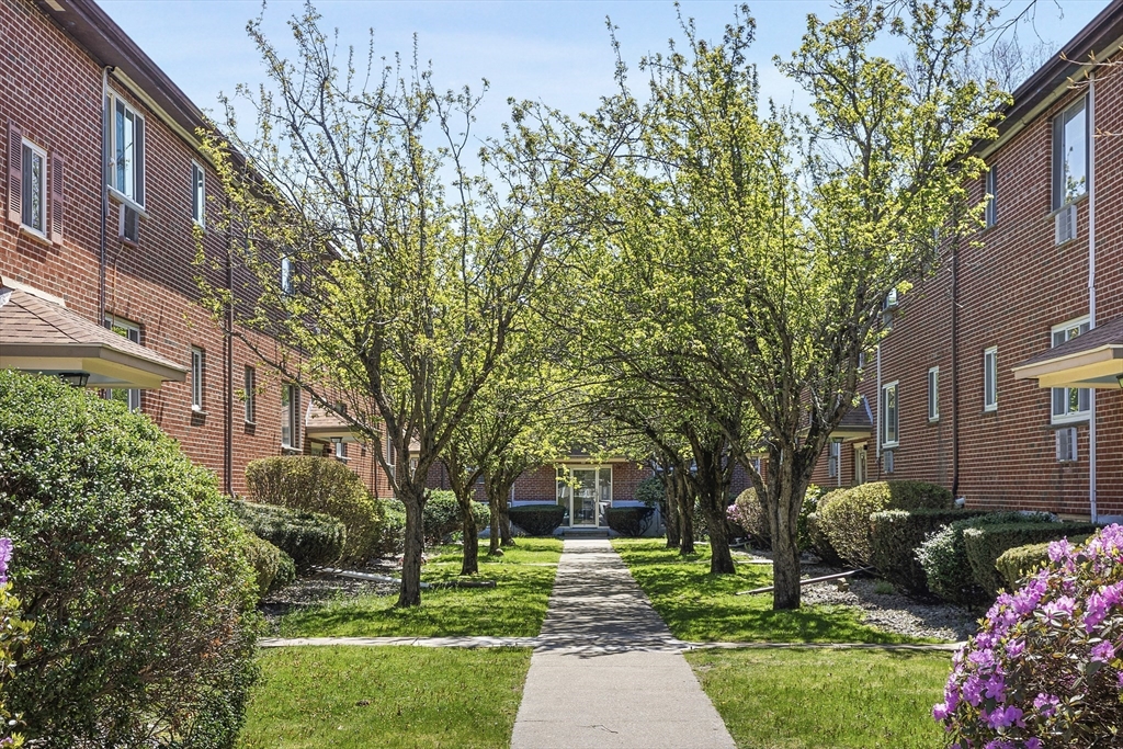 52 Bryon Road, Unit 3 Chestnut Hill, MA 02467 - Photo 1 of 11