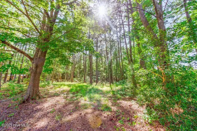 $305,000 | 1738 Highway 306, Grantsboro, NC 28529