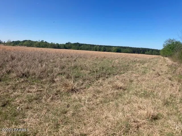 $38,500 | Ruppert Lake Road, Unit 2, Iota, LA 70543